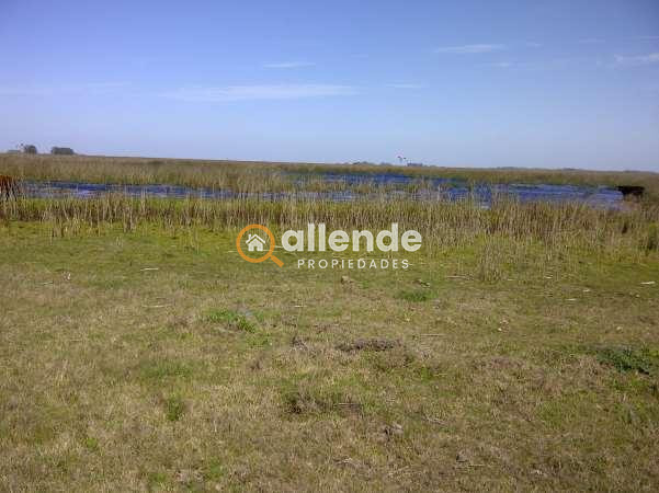 campos argentinos
